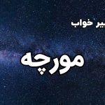 تعبیر خواب مورچه