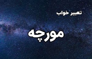 تعبیر خواب مورچه