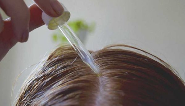 گیاهان دارویی برای پرپشت شدن مو
