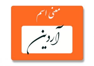 معنی اسم آردين