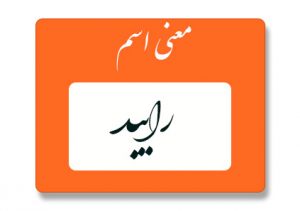 معنی اسم رایبد