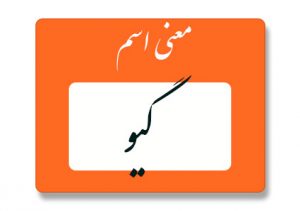 اسم گیو