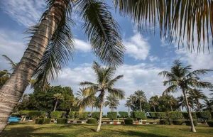 واگذاری جزیره کیش به چینی ها