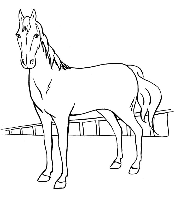 نقاشی اسب کودکانه