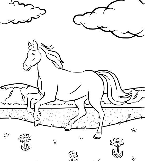 نقاشی اسب زیبا برای رنگ آمیزی