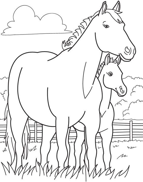نقاشی اسب و کره اسب بچه گانه برای رنگ آمیزی