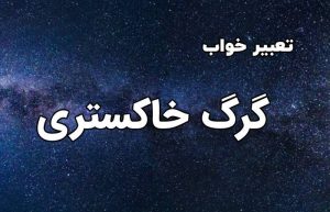 تعبیر خواب گرگ خاکستری