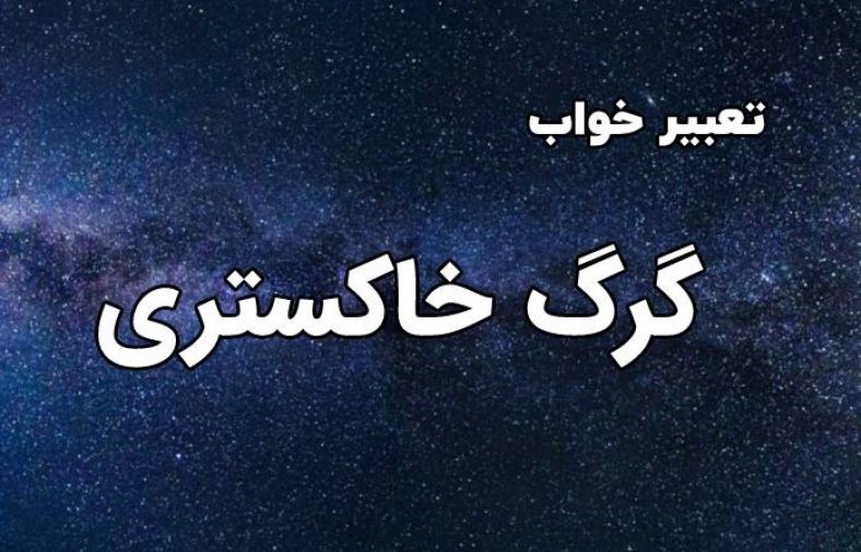 تعبیر خواب گرگ خاکستری