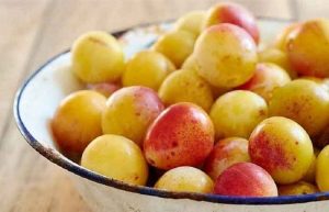 خواص آلو قطره طلا