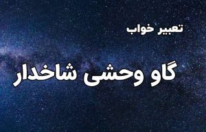 تعبیر خواب گاو وحشی شاخدار