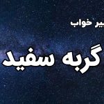 تعبیر خواب گربه سفید