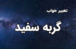 تعبیر خواب گربه سفید