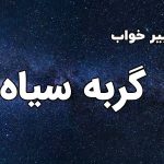 تعبیر خواب گربه سیاه