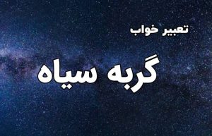 تعبیر خواب گربه سیاه