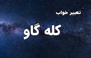 تعبیر خواب کله گاو