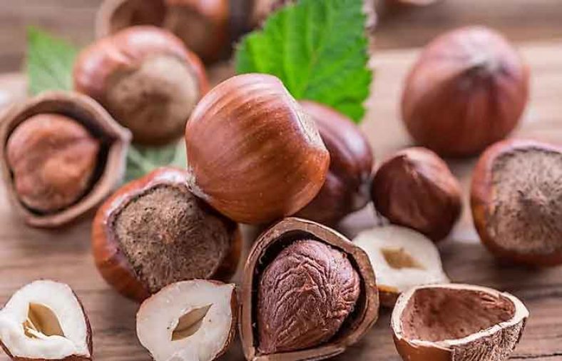 طبع فندق