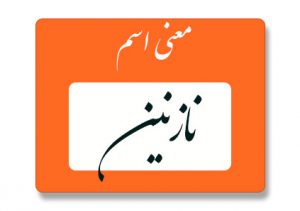 معنی اسم نازنین