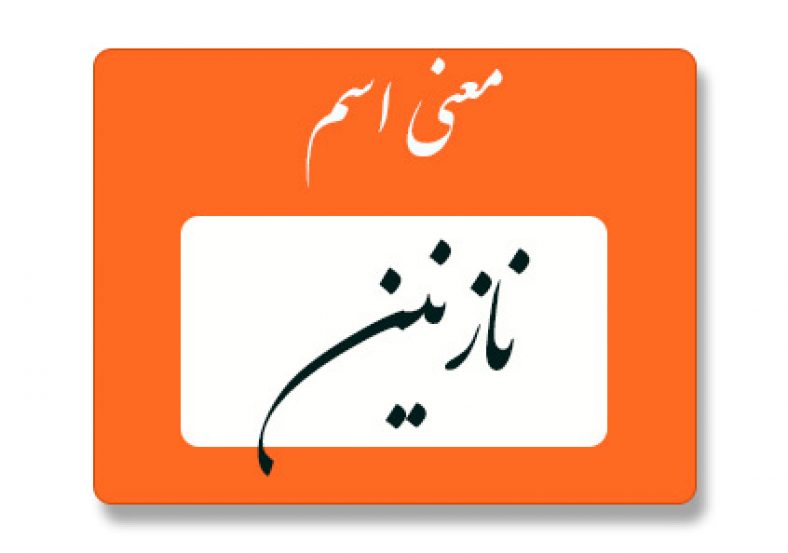 معنی اسم نازنین