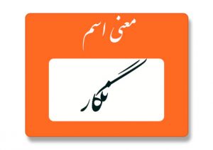 معنی اسم نگار