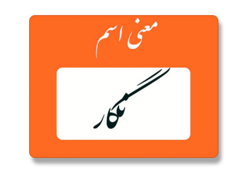 معنی اسم نگار