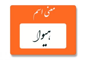 معنی اسم هیوا