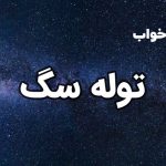 تعبیر خواب توله سگ