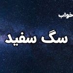 تعبیر خواب سگ سفید