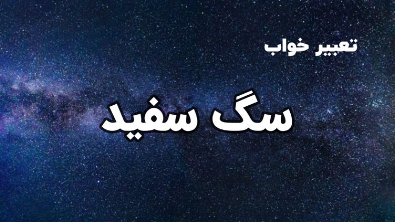 تعبیر خواب سگ سفید
