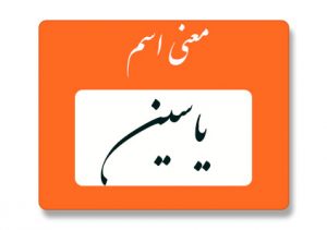 معنی اسم یاسین