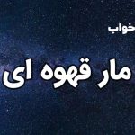 تعبیر خواب مار قهوه ای