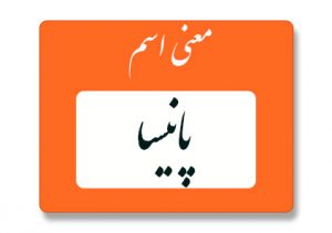 معنی اسم پانیسا