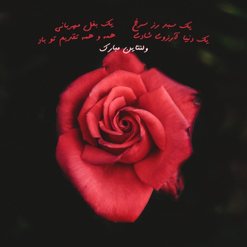 عکس ولنتاین مبارک عشقم