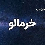 تعبیر خواب خرمالو