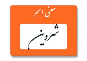 معنی اسم شروین
