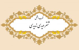 شتر دیدی ندیدی