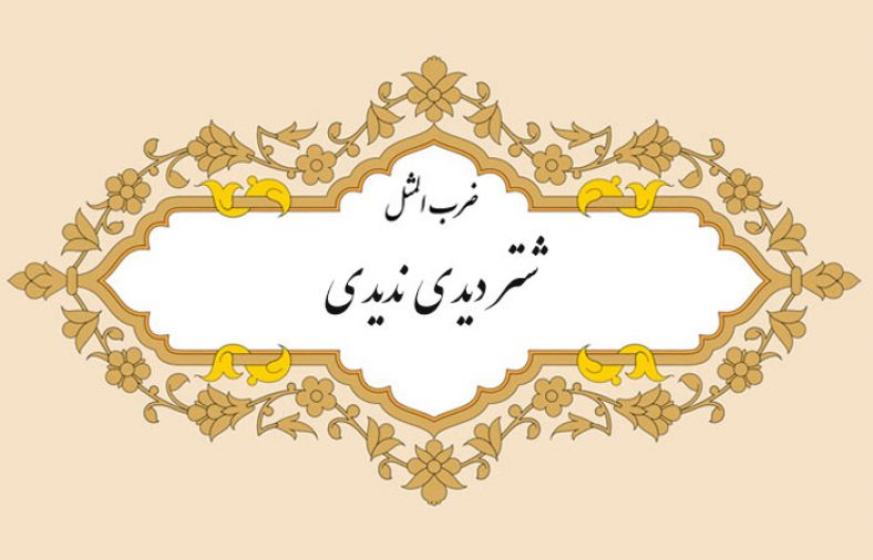 شتر دیدی ندیدی