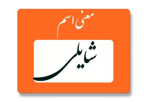 معنی اسم شایلی