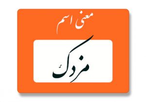 معنی اسم مزدک