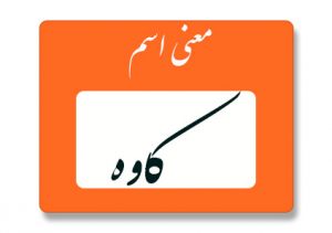 معنی اسم کاوه
