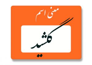معنی اسم گلشید