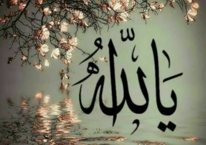 پروفایل الله