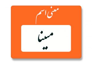 معنی اسم مبینا