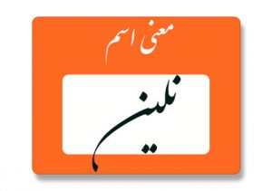 معنی اسم نلین