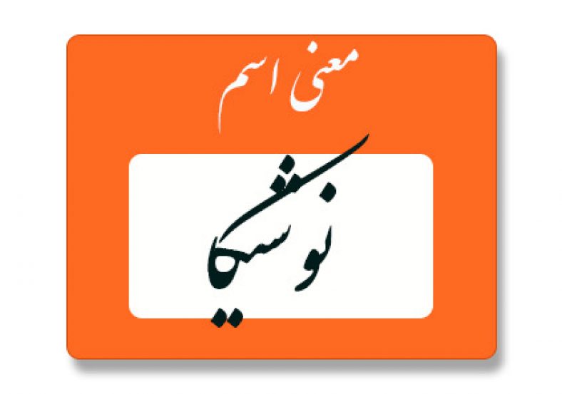 معنی اسم نوشیکا