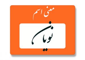 معنی اسم نویان