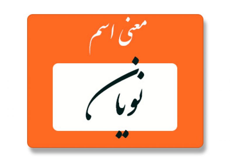 معنی اسم نویان