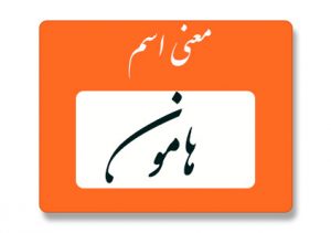 معنی اسم هامون
