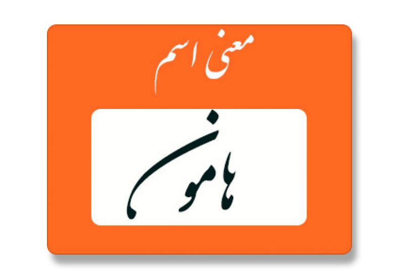 معنی اسم هامون