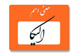 معنی اسم الیکا