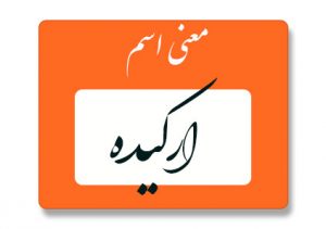معنی اسم ارکیده